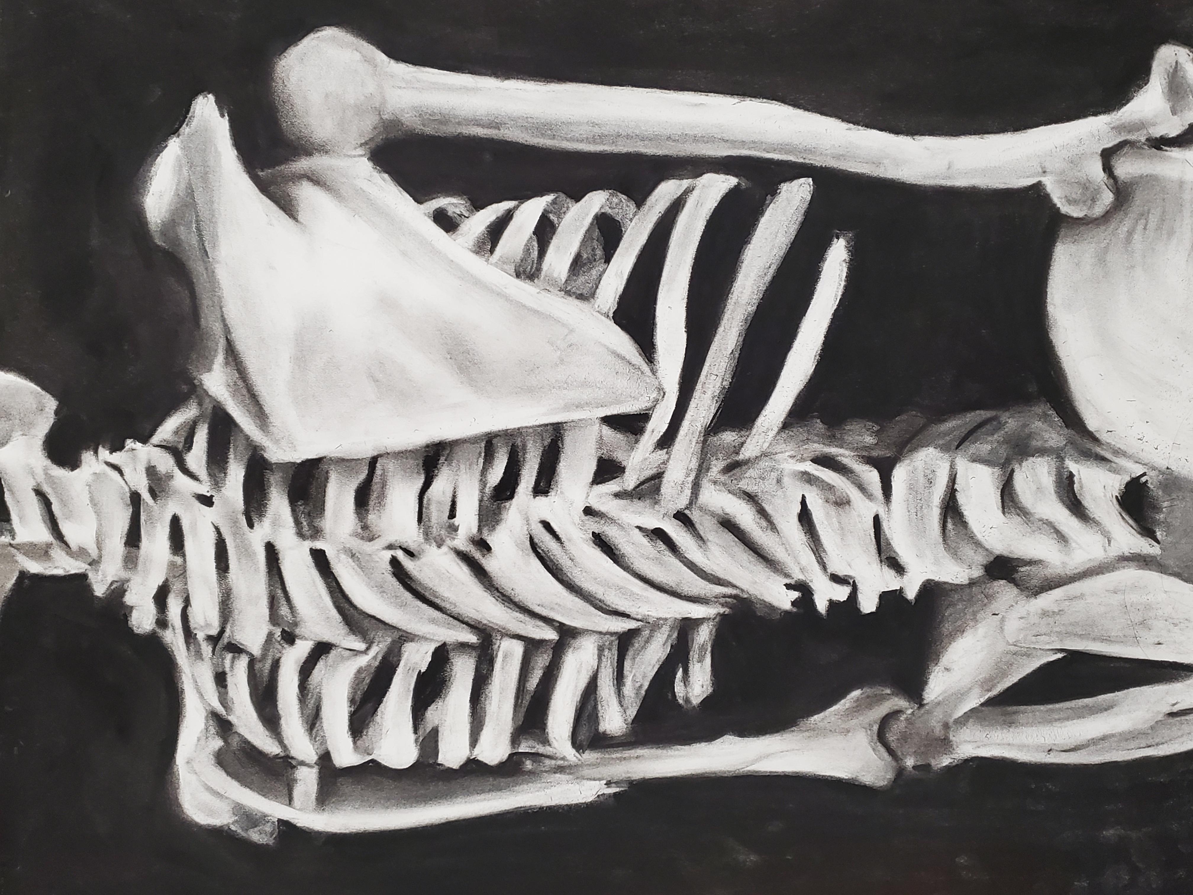 Skeletal Back - 