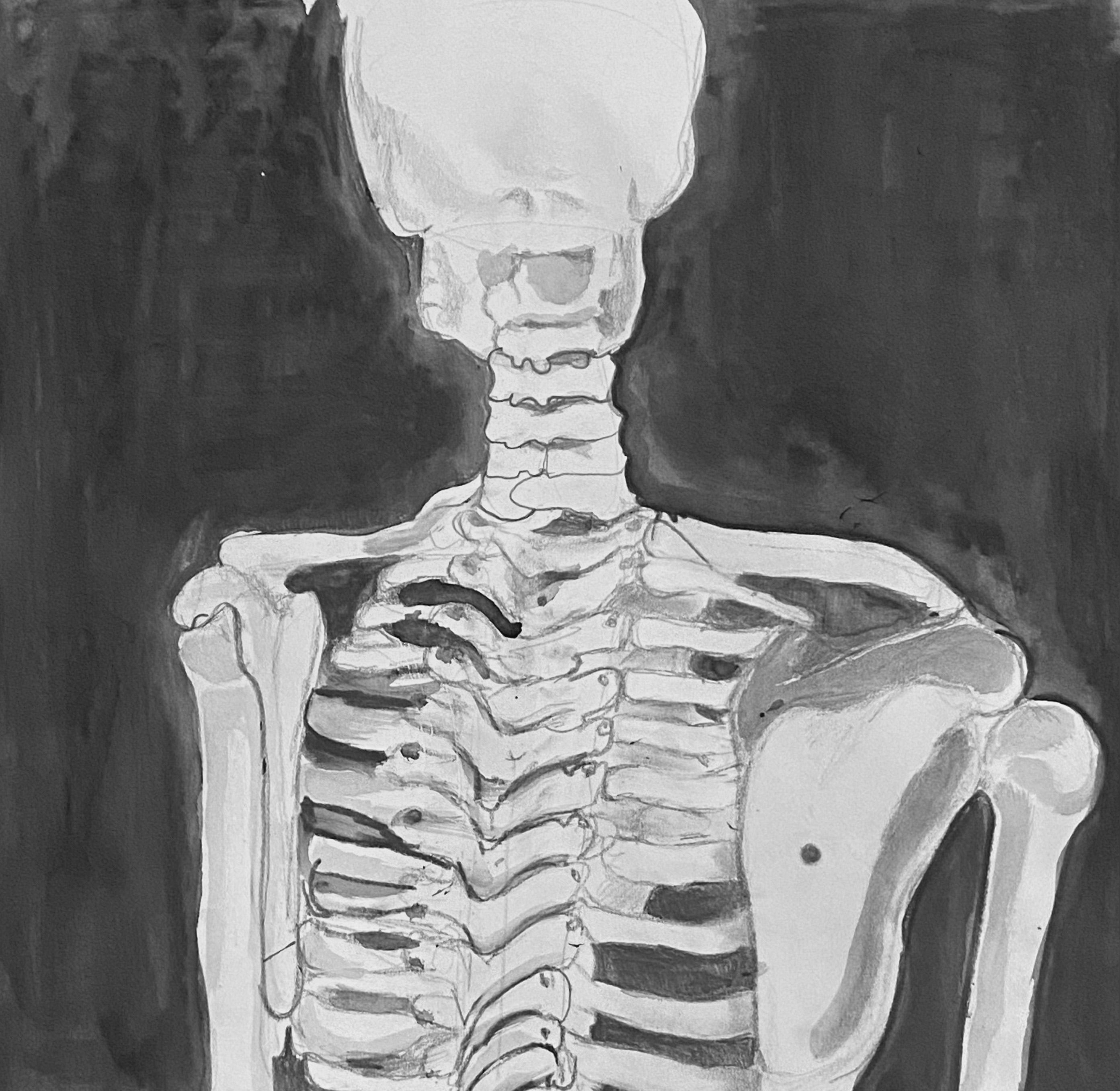 Skeletal Figure Drawing - 